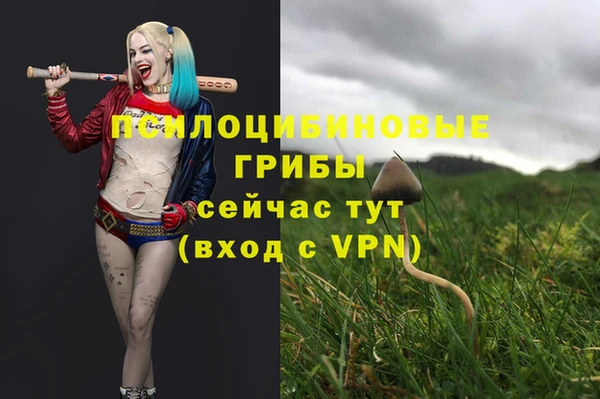 первитин Верхнеуральск