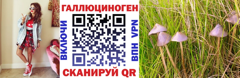 Купить где  Никольское  Галлюциногенные грибы мухоморы 